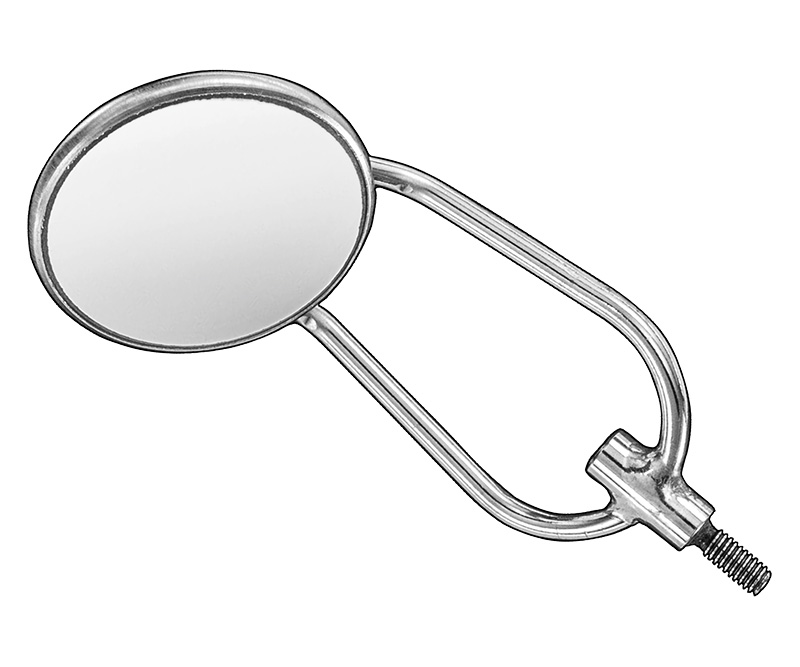 Mouth mirror/cheek retractor