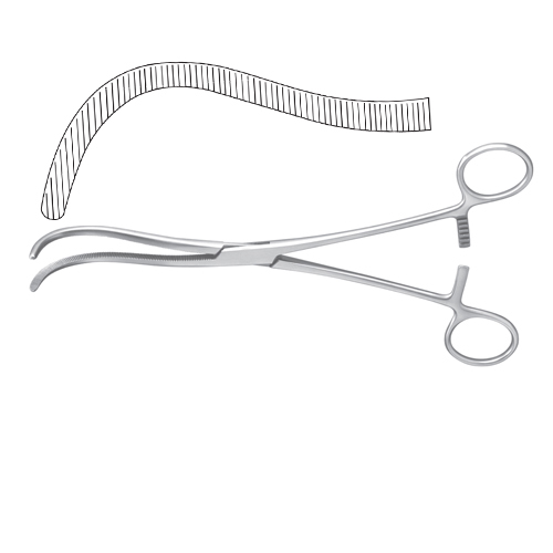 Guyon Kidney Pedicle Clamp